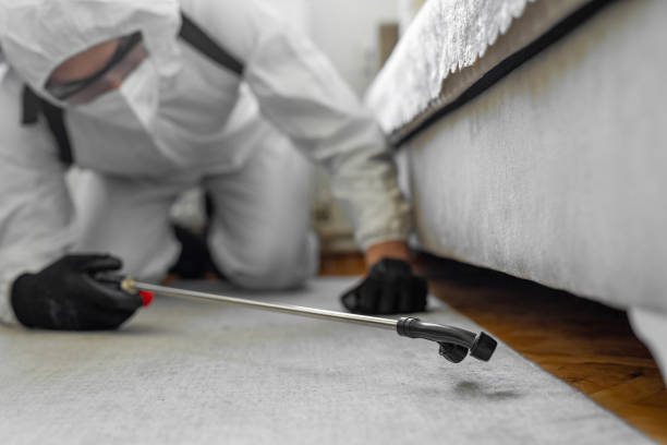 Professional Termite Control technician working in Hudson Oaks, TX