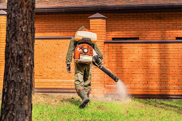 Trusted Ant Control service in Hudson Oaks, TX - Nex Pest Control